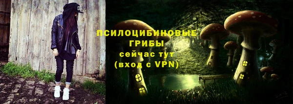 эйфоретик Беломорск