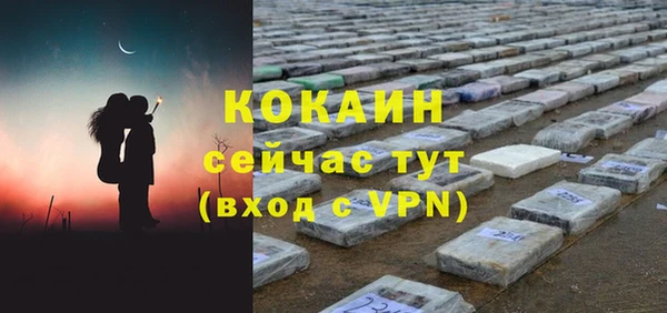 СК Богородск